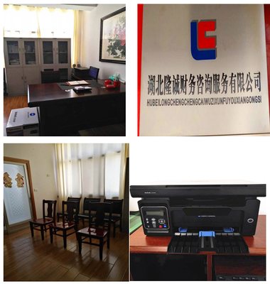 湖北隆誠(chéng)財(cái)務(wù)咨詢服務(wù) 專業(yè)賦能，助力企業(yè)穩(wěn)健發(fā)展